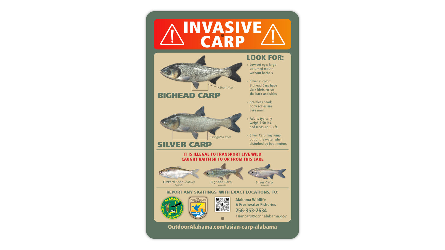 ADCNR is installing invasive carp ID signs at all public boat ramps along the Tennessee River this fall.