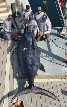 The crew of Best Trait celebrates landing the 1,145.6-pound blue marlin, a potential Alabama and Gulf of Mexico record.