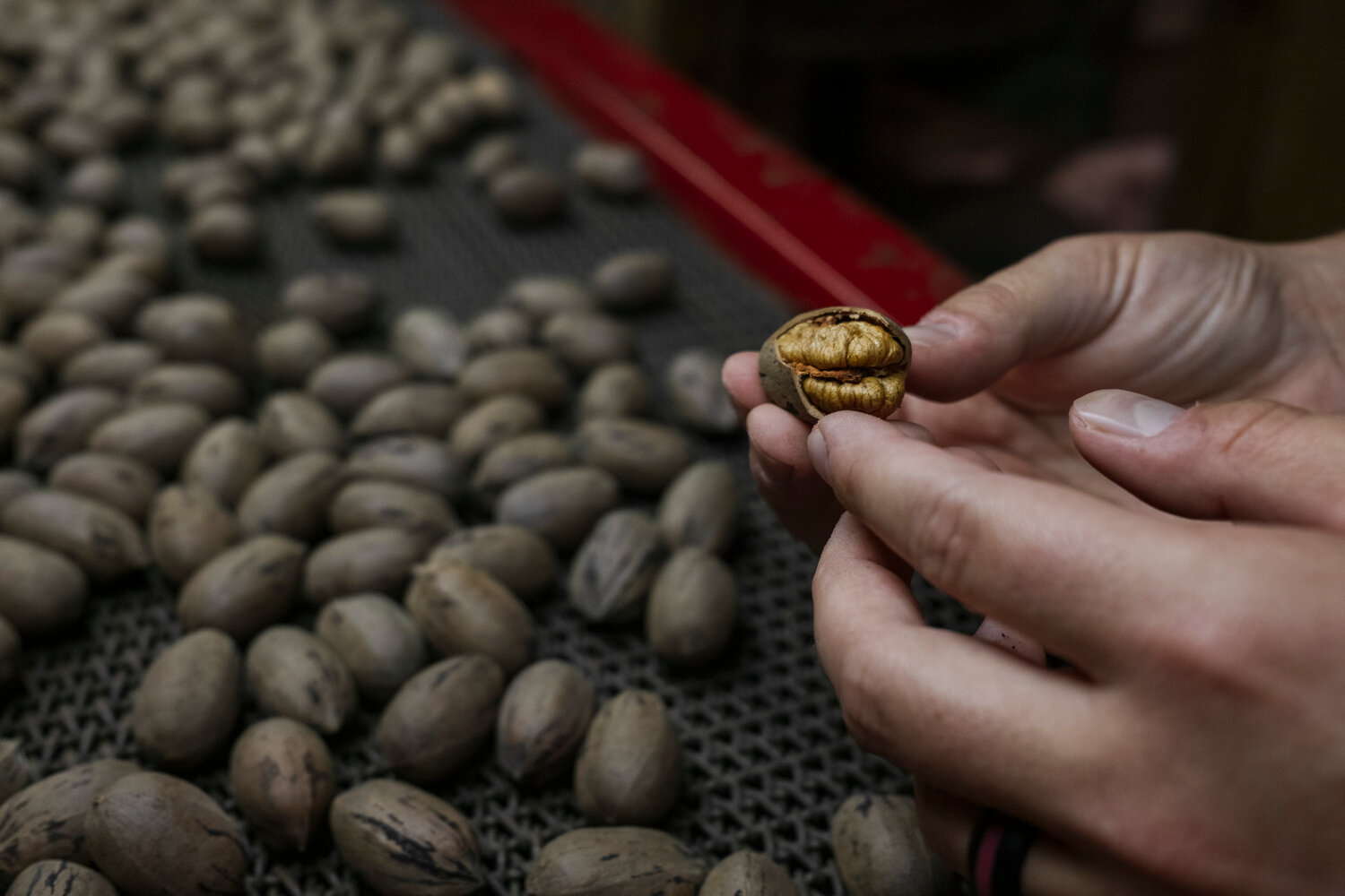 Fairhope’s B & B Pecan, In 4th Generation Of Family Business, Looks ...