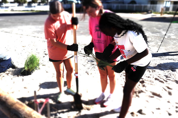 Over 40 Gulf Shores Middle and High School students were out early Monday morning, taking part in a training and restoration project in Orange Beach on Oct. 30, hosted by Dune Doctors and Gulf State Park.