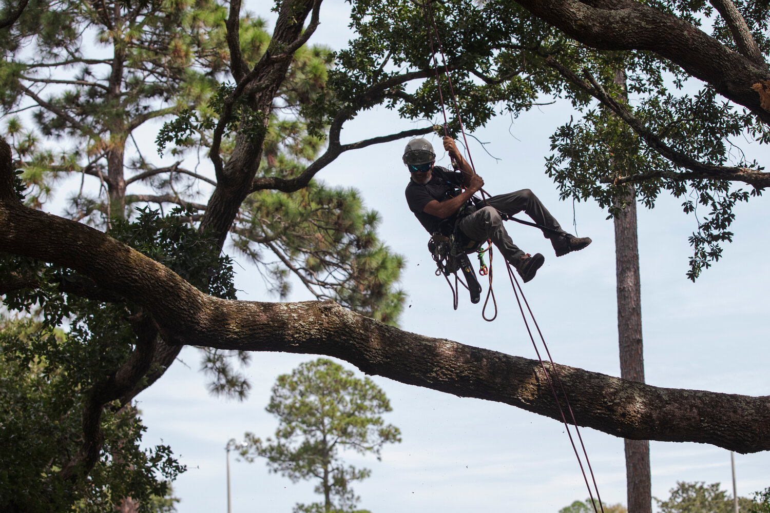 The competition, which may return to the island next year but has rotated to different parts of the state in the past, is always open to the public. Above,
Tony Brown repels from a branch. Below, Justin Cantrell sits for a break and a portrait.