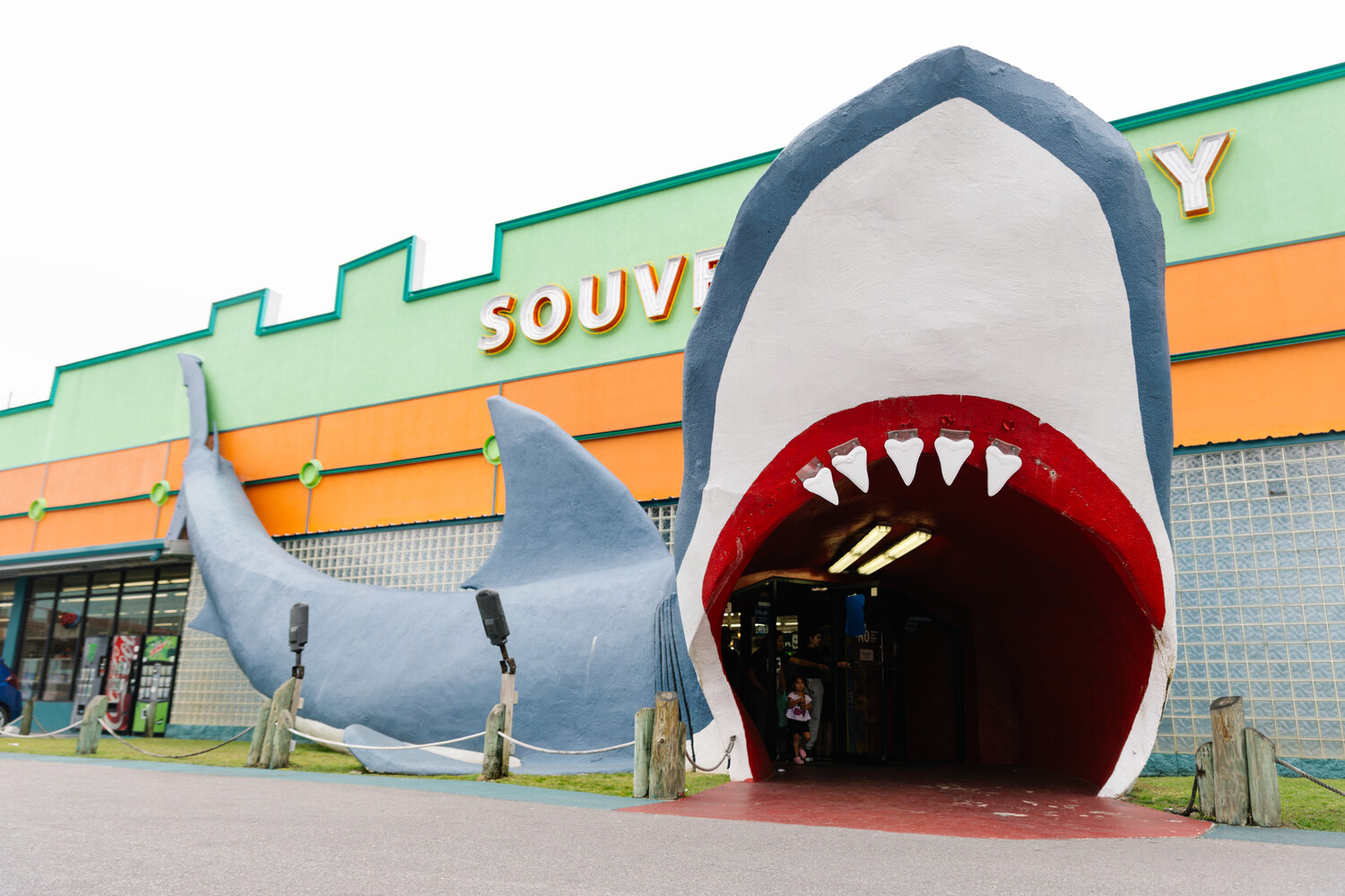 While traveling down Gulf Shores Parkway., a 70-foot blue shark can be easily spotted outside of the store. The idea of placing a shark outside of the store came to owner Clyde Weir while attending a gift show in Gatlinburg and seeing a shark at a miniature golf course. The shark, initially 50-feet long, survived a fire that destroyed the store on Feb. 4, 1996. When the store was rebuilt, the concrete shark grew to 70-feet, becoming a prominent photo spot at the beach.