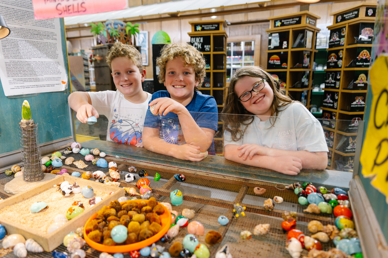 Kids at Souvenir City holding the land hermit crabs while in store. These land hermit crabs can eat human food, if they do not have a large amount of salt or spicy seasoning.