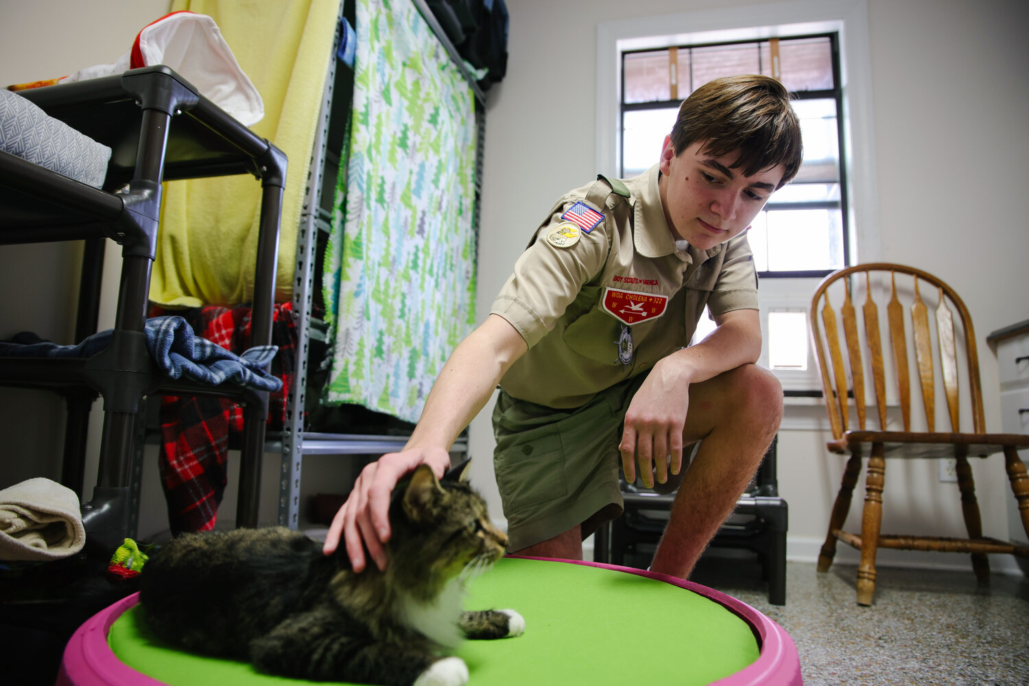 Eagle Scout Brody Gwaltney pets a cat at BCHS that is resting on one of his tire beds on Nov. 19.
