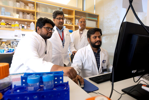 USA Health Mitchell Cancer Institute researchers Dr. Ajay Singh (standing second from left) and Dr. Santanu Dasgupta (standing second from right) along with postdoctoral fellows Kunwar Somesh Vikramdeo (seated far left), and Shashi Anand (seated far right) work on research into triple-negative breast cancer.