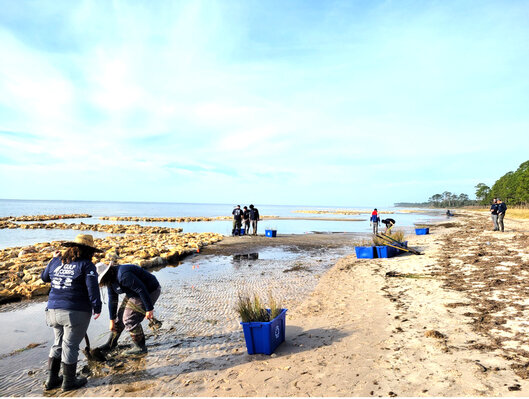 Conservation Corps members install a living shoreline for the Forgotten and Emerald Coasts Franklin 98 Shoreline Protection and Restoration Project.