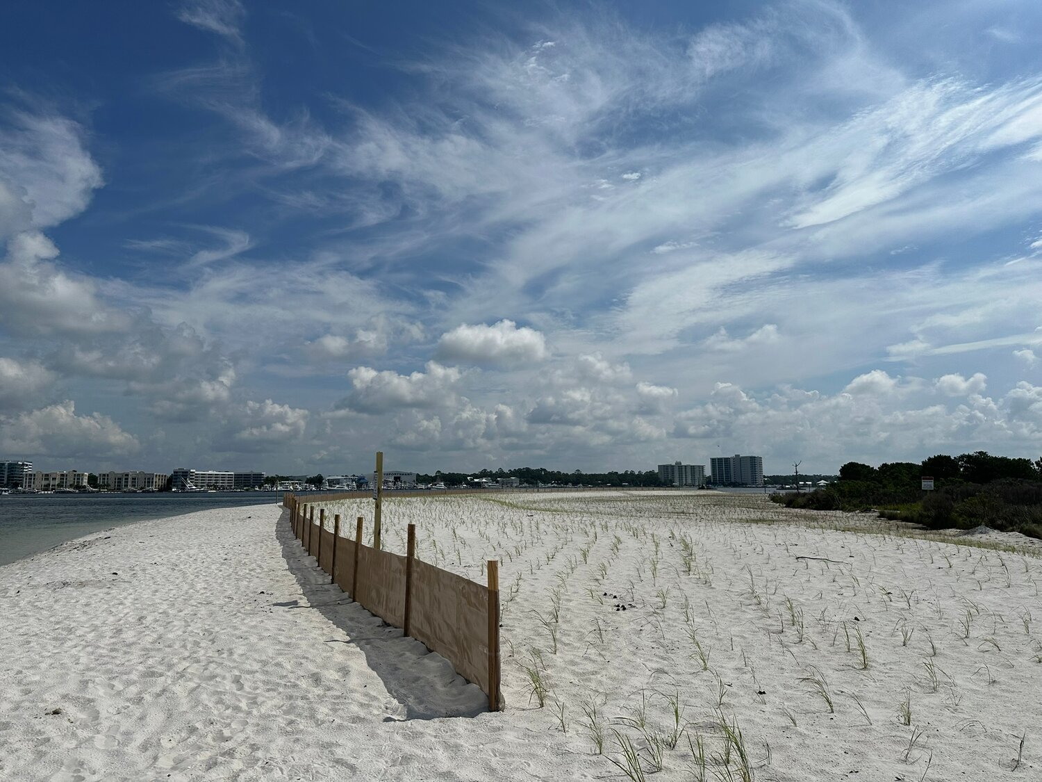 Volunteers invited to sign up for Orange Beach Perdido Island restoration July 31