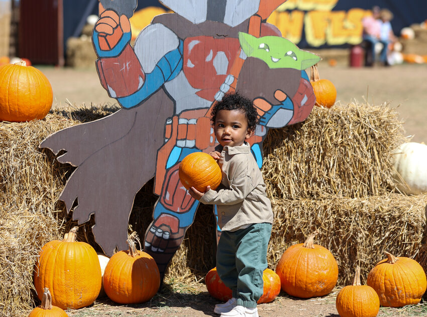 Families enjoy outdoor activities on a cool and sunny Columbus Day holiday, and select pumpkins for Halloween at the Texas Pumpkin Festival in Leander, October 9, 2023.