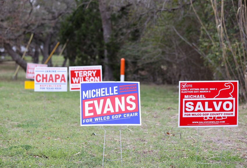 Campaign signs seen across Cedar Park and Leander ahead of the March 5, 2024 primary.