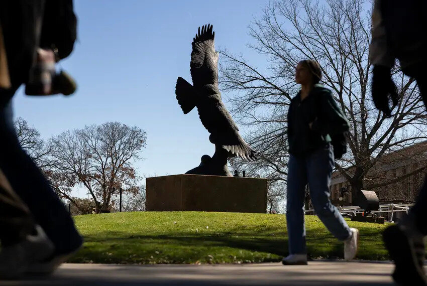 Nineteen University of Texas at Dallas students were removed from the Student and Exchange Visitor Information System database, according to UTD officials, who said they were working through the situation with those affected.