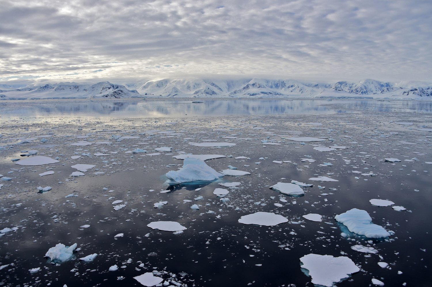 Eastern Antarctica Registers Temperatures 70 Degrees Above Normal, As ...