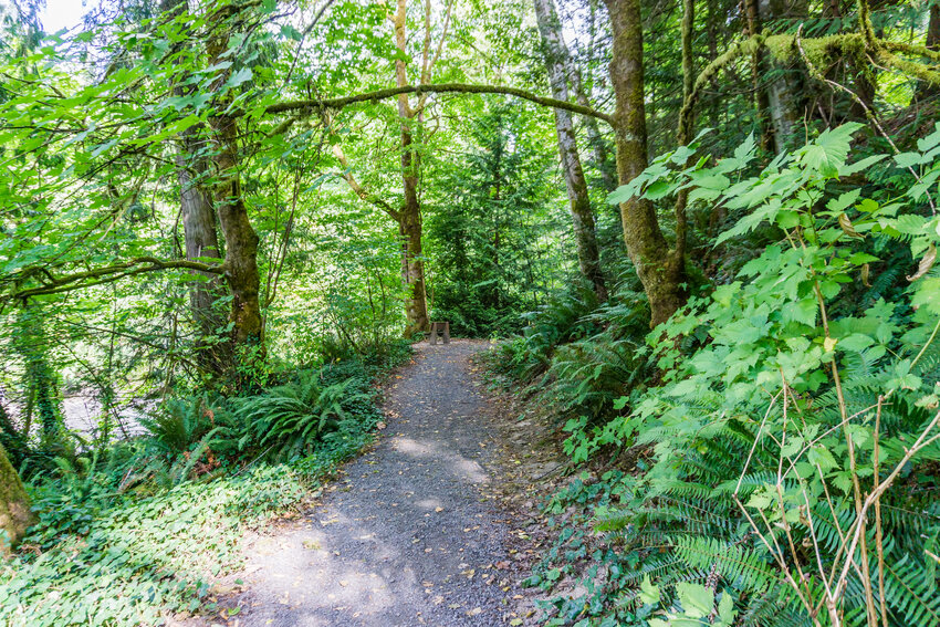 A trail at Squaxin Park, (formerly known as Priest Point Park.) in Olympia, Washington.