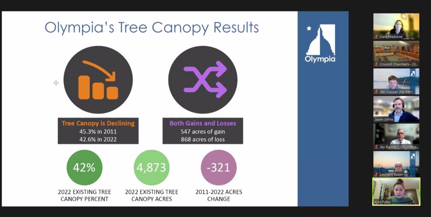 Olympia’s tree canopy results show gain and loss over the past decade.