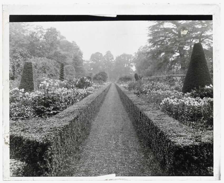 A black and white photo of part of the Waldorf estate gardens. Viscount Waldorf Astor house, Taplow, Buckinghamshire, England