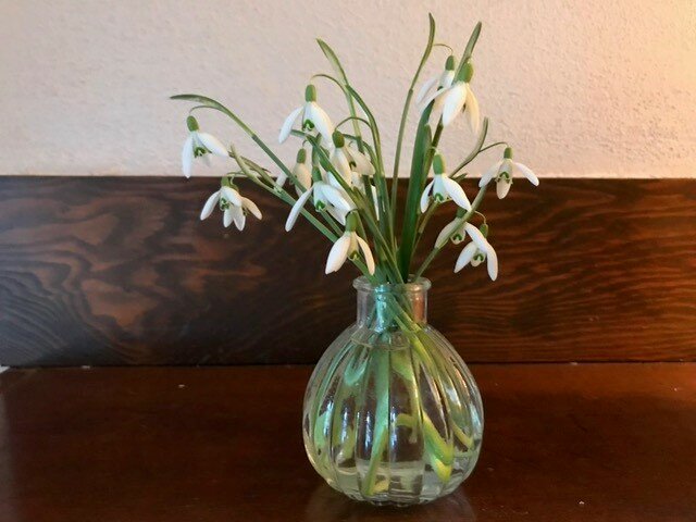 Snowdrops may be small, but fortunately, there are small vases, too.