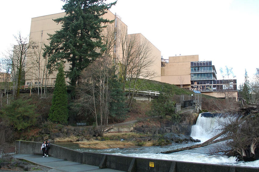 Tumwater falls and the former Olympia Brewing plant, which closed its doors in 2003. The beer built its reputation on the region's artesian springs, using the tagline "It's the Water." But in the past several years, some water sources in the area have been found to be contaminated with PFAS, once-common chemicals that don't easily break down, can travel long distances from their source, and have been shown to cause negative health effects. (Andy Engelson for Crosscut)