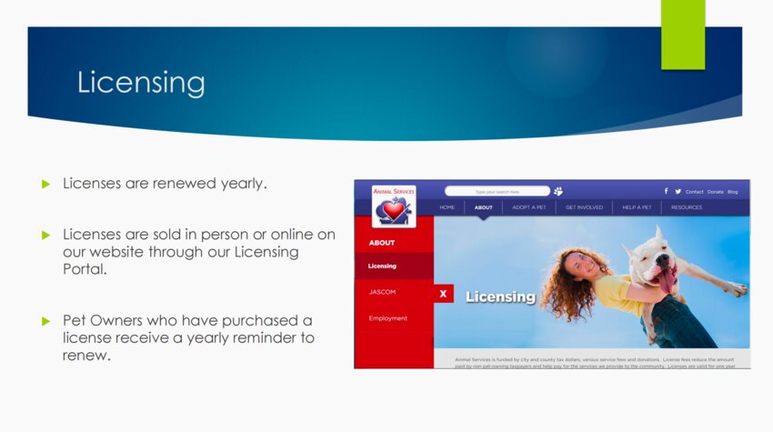Annual licensing can be done online or in-person.