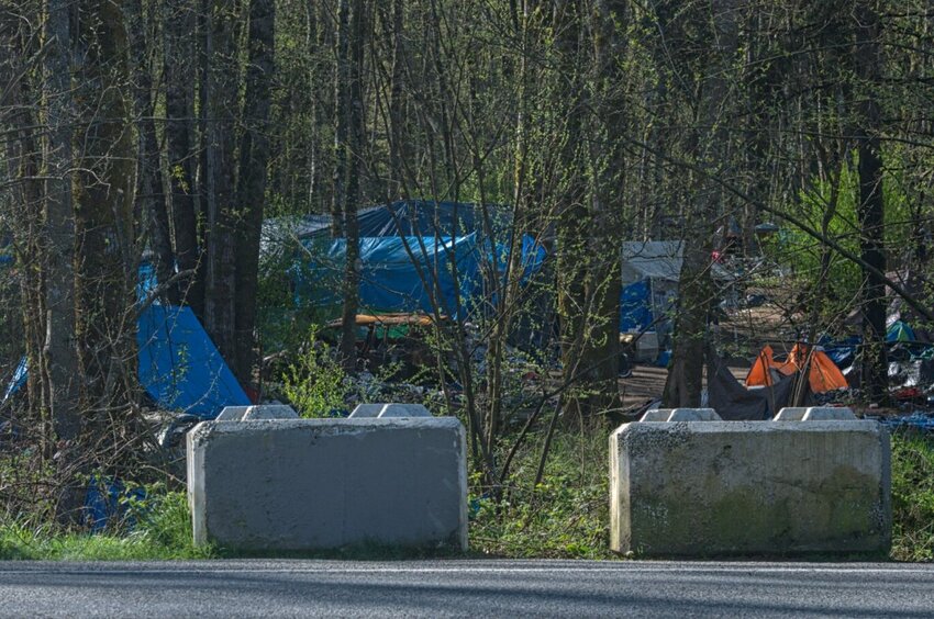 Approximately 80 people live in The Jungle in Olympia. Some have been there for as long as nine years.