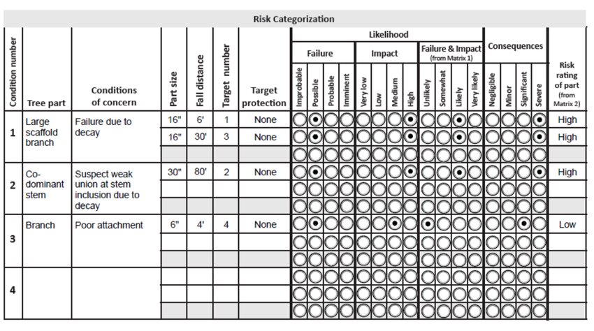 An appendix from McFarland’s report shows how he evaluated the tree’s risk rating.