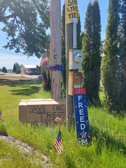 Supporters of the Davis-Meeker Oak in Tumwater have put up numerous signs around the site of the historically significant tree. The signs depicted on the ground read "Save the Tree Move the Road," and "Let freedom ring."