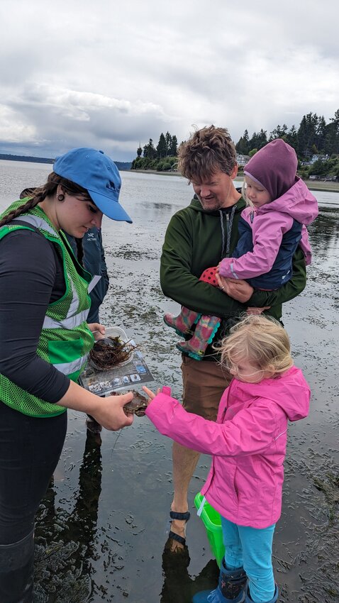 Join the Meet the Beach program and get to know the different marine life in the different Puget Sound beaches such as sea stars, snails, crabs, jellyfish, and a myriad of other fascinating marine creatures.