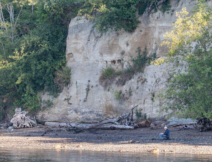 An observer monitoring a nesting colony, Lyle Point, Anderson Island of Pigeon Guillemots.