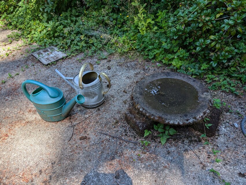 My bird bath watering station.