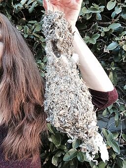 The nest of a Bushtit. "The nest is unique – a hanging sock of woven grasses and other materials, including spider webs, sometimes decorated with bits of bark."