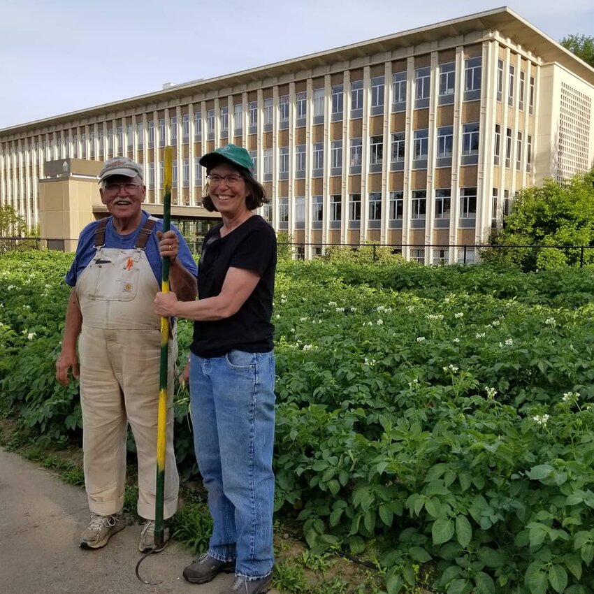 Don Leaf and Carol Piening standing in front of a potato field at the Capitol Campus Garden.