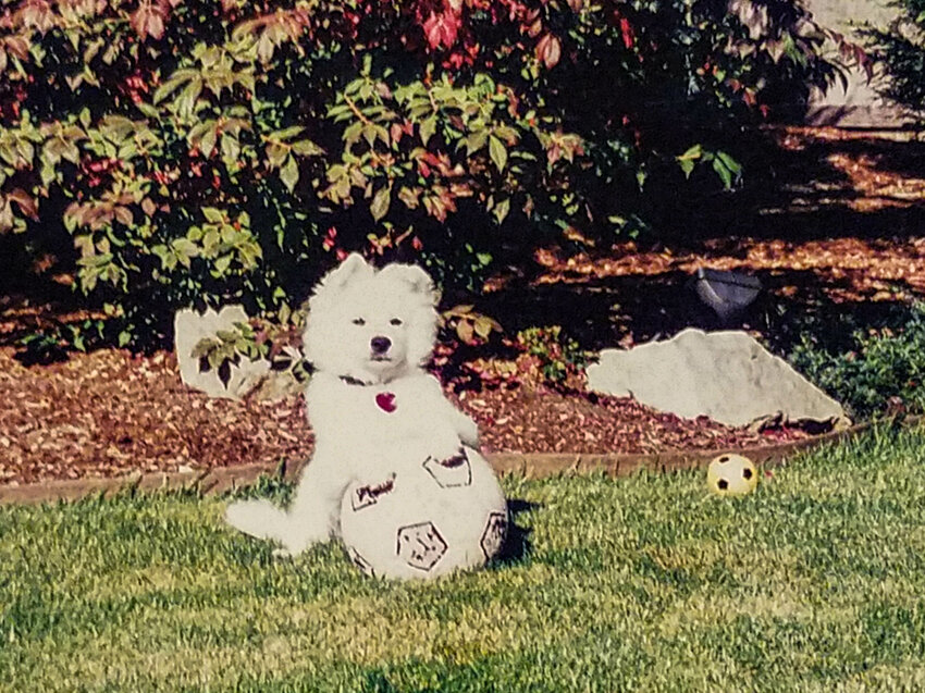 Toshiro playing soccer in the backyard