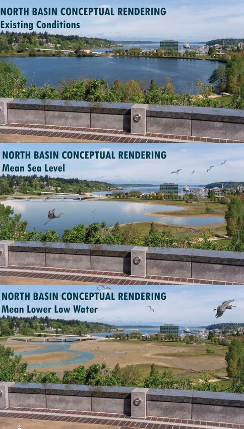 Conceptual rendering of the north basin of Capitol Lake before and after the project. The third image shows what the estuary would look like during a low water event.