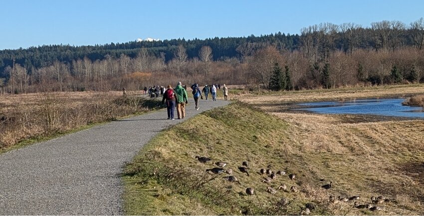 The Nisqually Dike Trail looking east toward the Twin Barns.