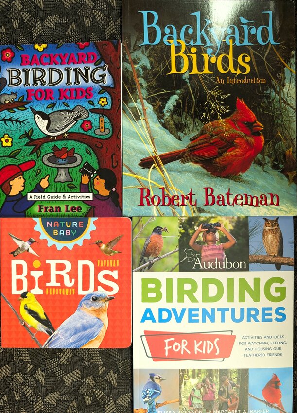 Children's bird interest books