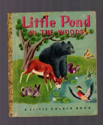 Little Pond in the Woods