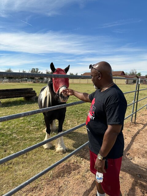 Seeing farm animals in the middle of a small city was a surprise for Jarvis.