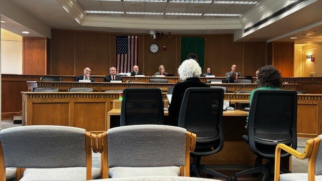 Debra L. Glasser, M.D. testifying
