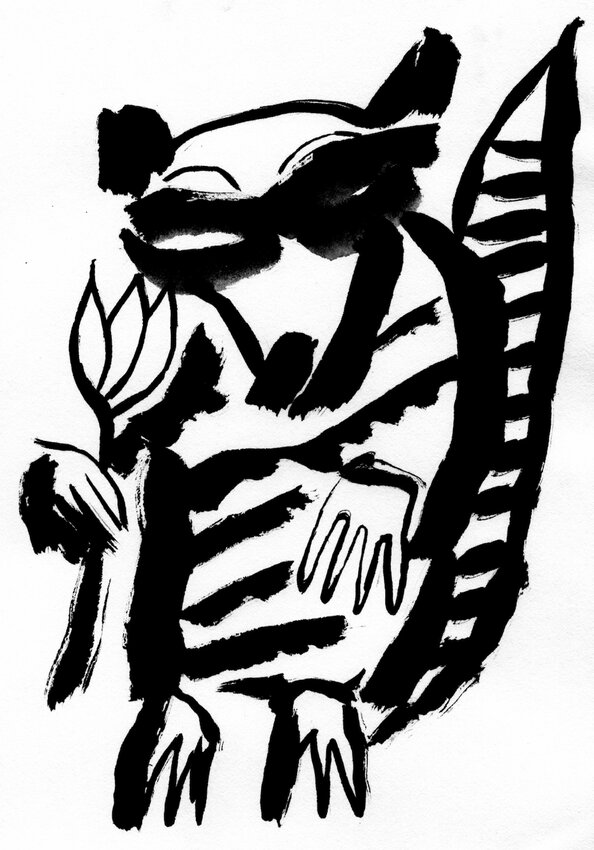 An ink drawing of a west side raccoon by Arrington de Dionyso.