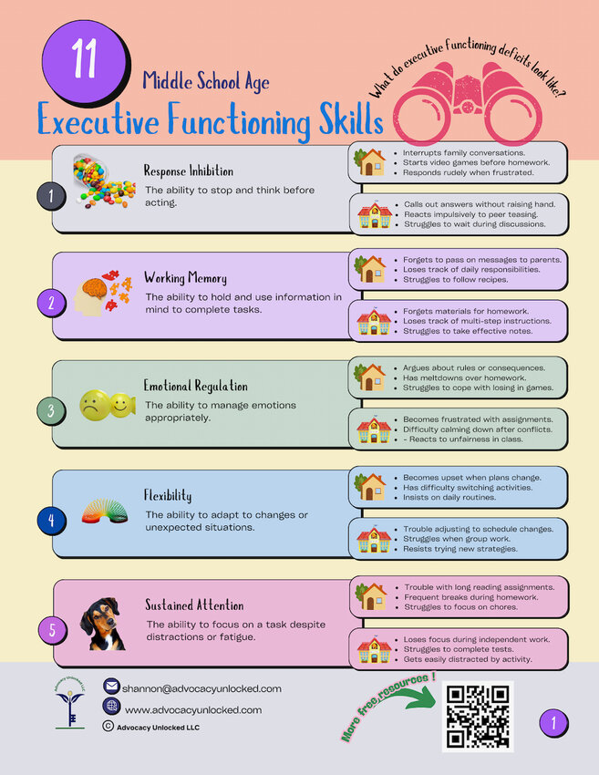 Executive functioning skills.
