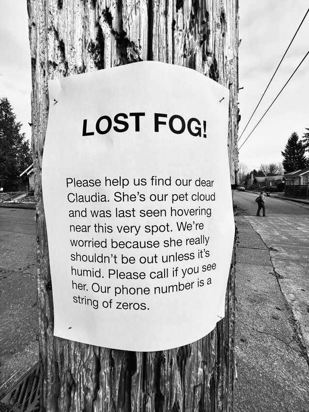 This photo was taken in Northwest Olympia on March 18, 2025.