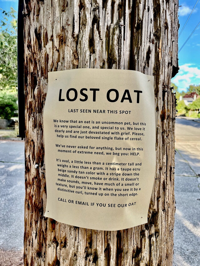 This photo was taken in NW Olympia on Sept. 12, 2024.