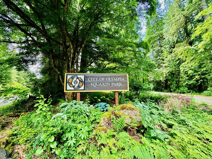 The west entrance to Squaxin Park.