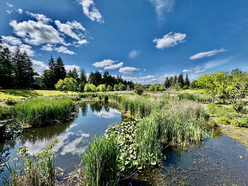 Yauger Lake.