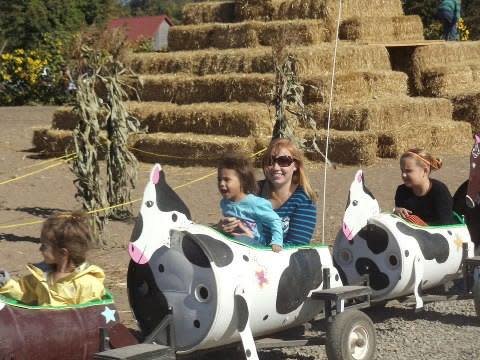 Schilter Family Farm is one of 1,200 farms in Thurston County. This scene shows an event in October, Pumpkin Patch Harvest and Corn Maze.