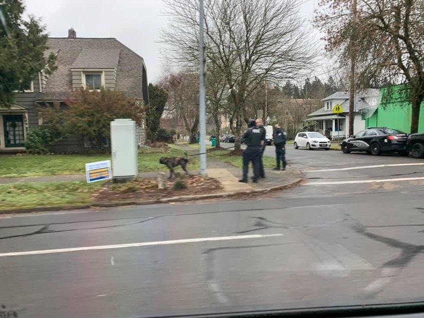 Tumwater police officers and a K-9 unit stand by Monday morning as officers respond to a sighting of an armed robbery suspect near Safeway in Tumwater on Monday Dec. 28, 2020.
