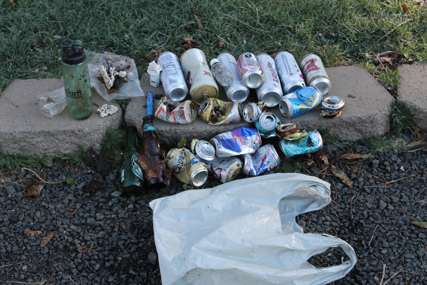 This garbage was collected in Priest Point Park in Olympia on Thu., Jan. 21, 2021 -- in just a few minutes.  Most of it was recyclable - and was put into the recycling stream at home.