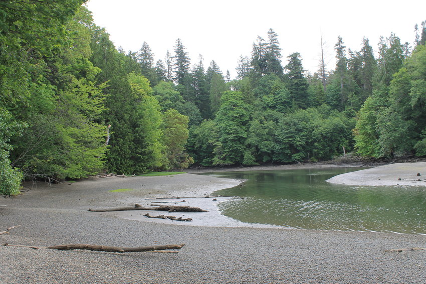 Ellis Cove, in Priest Point Park in Olympia, in January 2021.