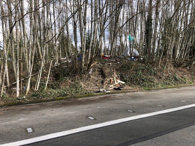 Another example of trash strewn along the north side of Wheeler Ave. SE in Olympia on March 9, 2021