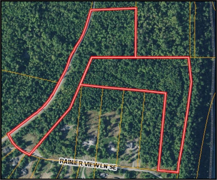 The red line shows the plan to divide the 30.97-acre Wellington Woods Preliminary Plat into two clusters, with the western cluster facing Brenda Lane SE, the eastern portion accessed from Rainier View Drive SE.