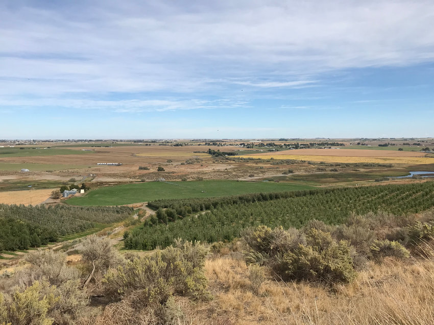 Water is wealth: a view of eastern Washington farmlands both irrigated and unwatered.