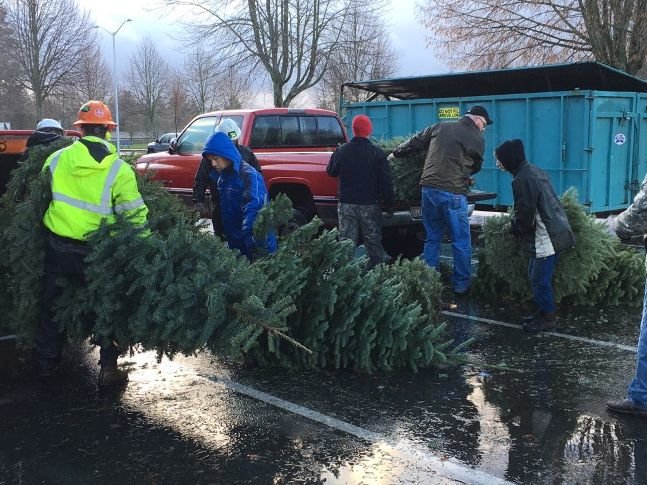 Boy Scouts and adult members from BSA Troop 222 are shown collecting Christmas Trees, pre-pandemic.